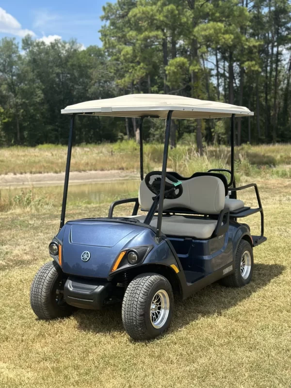 2023 Yamaha Drive2 - Image 2