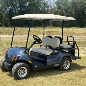 2023 Yamaha Drive2