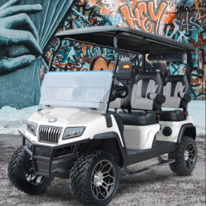 2024 Evolution Maverick D5
