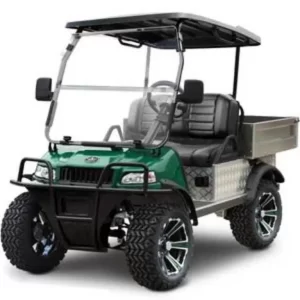 2024 Evolution Electric Turfman 800