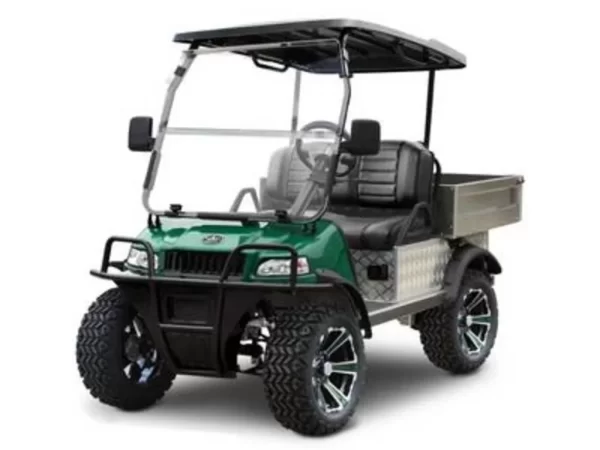 2024 Evolution Electric Turfman 800