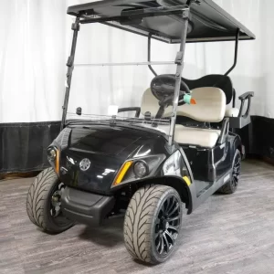 4 Seater 2023 Yamaha Drive